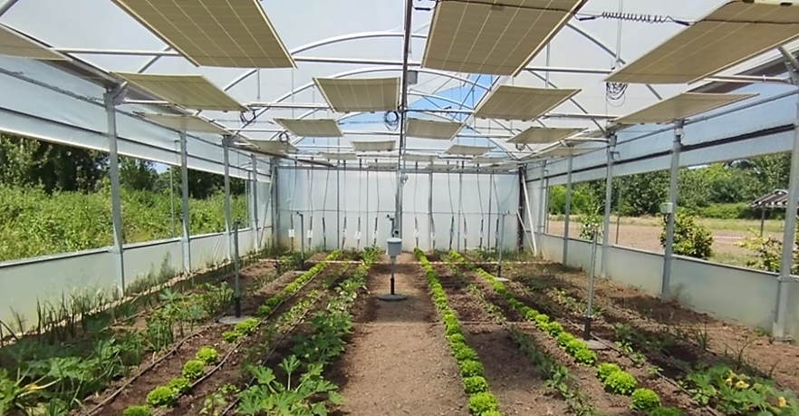 Uma imagem com estufa, planta, edifício, ar livre</p>
<p>Os conteúdos gerados por IA podem estar incorretos.